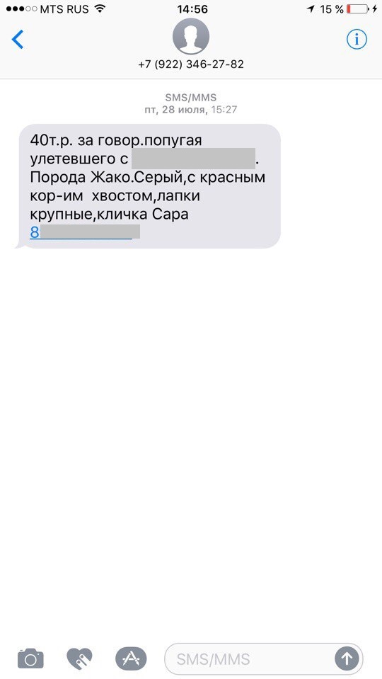 Текст сообщения